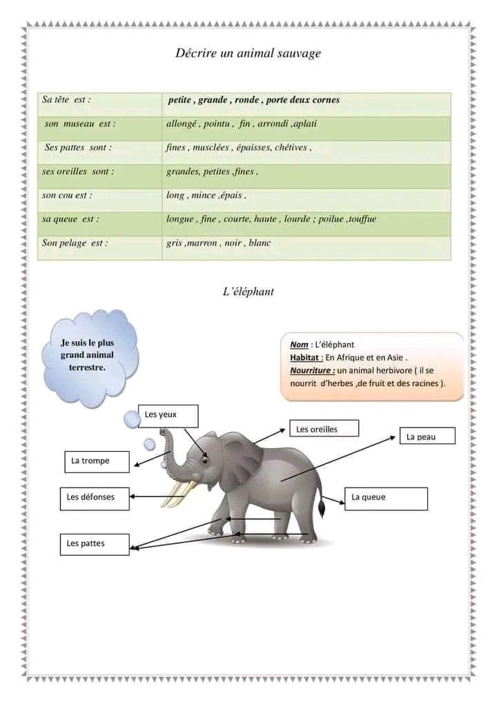 وصف فيل فرنسية سنة خامسة ابتدائي 