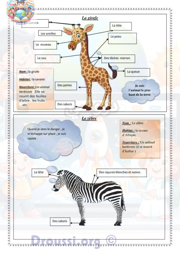 وصف حيوانات زرافة فرنسية سنة خامسة ابتدائي